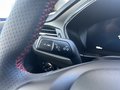 Daumennagel 16 - Ford Focus Turnier ST-Line X - Fahrer Assist.P. - Winter P. - 18 Zoll - Top