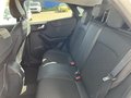 Daumennagel 10 - Ford Puma Titanium X - Fahrer Assist. P. - Winter P. - Navi - Kamera - Top