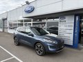 Daumennagel 3 - Ford Kuga Plug-In Hybrid Titanium - Pano.Schiebedach - Elektr.Heckkl.- AHK - 19 Zoll - Top