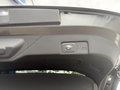 Daumennagel 8 - Ford Puma Titanium X - 155 PS Automatik - Bi-LED - Vollausstattung