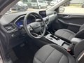 Daumennagel 11 - Ford Kuga Plug-In Hybrid Titanium - AHK - Winter P. - Navi - Kamera - Top