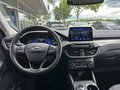 Daumennagel 12 - Ford Kuga Plug-In Hybrid Titanium - AHK - Winter P. - Navi - Kamera - Top