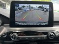 Daumennagel 17 - Ford Kuga Plug-In Hybrid Titanium - AHK - Winter P. - Navi - Kamera - Top