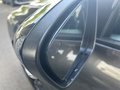 Daumennagel 11 - Ford Kuga Plug-In Hybrid ST-Line X - LED-Matrix - Black Package Paket - Voll