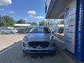 Daumennagel 1 - Ford Puma Titanium - Fahrer Assist.Paket - Winter Paket - Top