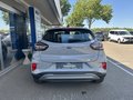 Daumennagel 7 - Ford Puma Titanium - Fahrer Assist.Paket - Winter Paket - Top