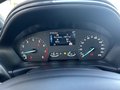 Daumennagel 14 - Ford Puma Titanium - Fahrer Assist.Paket - Winter Paket - Top