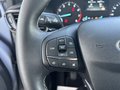 Daumennagel 16 - Ford Puma Titanium - Fahrer Assist.Paket - Winter Paket - Top