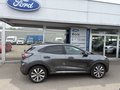 Daumennagel 3 - Ford Puma Titanium X - Navi - AHK - B&O - Winter Paket - Top