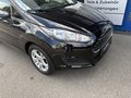 Daumennagel 6 - Ford Fiesta Sync Edition 1.Hd. Winter-Paket - Top