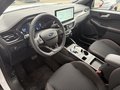 Daumennagel 10 - Ford Kuga ST-Line - Automatik - Navi - Kamera - AHK - Toter Winkel - Schnäppchen