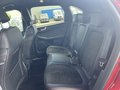 Daumennagel 29 - Ford Kuga Plug-In Hybrid ST-Line X - Technologie Paket - Fahrer Assist. P. - Voll