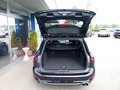 Daumennagel 7 - Ford Focus Turnier ST-Line - Matrix LED - Schiebedach - Navi - Kamera - AHK - Voll