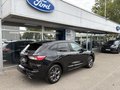 Daumennagel 4 - Ford Kuga Plug-In Hybrid ST-Line X - Techno Paket - HUD - LED - Top