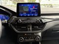 Daumennagel 13 - Ford Kuga Plug-In Hybrid ST-Line X - Techno Paket - HUD - LED - Top