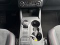 Daumennagel 14 - Ford Kuga Plug-In Hybrid ST-Line X - Techno Paket - HUD - LED - Top