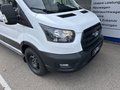 Daumennagel 6 - Ford Transit Kasten 350 L3 Trend - Expressline Paket Plus - 0% Finanzierung