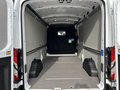 Daumennagel 10 - Ford Transit Kasten 350 L3 Trend - Expressline Paket Plus - 0% Finanzierung