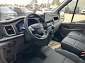 Daumennagel 14 - Ford Transit Kasten 350 L3 Trend - Expressline Paket Plus - 0% Finanzierung