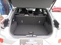 Daumennagel 6 - Ford Puma ST-Line - Autom. - Winter Paket - Navi - Kamera - Top