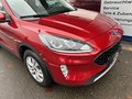 Daumennagel 6 - Ford Kuga Cool & Connect - 1Ste Hand - Navi - PDC - Winter Paket - Top