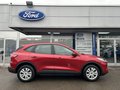 Daumennagel 3 - Ford Kuga Cool & Connect - 1Ste Hand - Navi - PDC - Winter Paket - Top