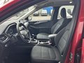 Daumennagel 10 - Ford Kuga Cool & Connect - 1Ste Hand - Navi - PDC - Winter Paket - Top