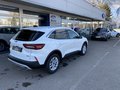 Daumennagel 5 - Ford Kuga Plug-In Hybrid Titanium LED Scheinwerfer-Rückfahrkamera-Key Free-Navi