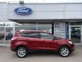 Daumennagel 2 - Ford Kuga Titanium - Automatik - Fahrer Assist.P. - Technik P. - Elektr.Heckkl. - Wenig Kilometer - Voll
