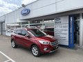 Daumennagel 3 - Ford Kuga Titanium - Automatik - Fahrer Assist.P. - Technik P. - Elektr.Heckkl. - Wenig Kilometer - Voll