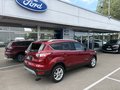 Daumennagel 4 - Ford Kuga Titanium - Automatik - Fahrer Assist.P. - Technik P. - Elektr.Heckkl. - Wenig Kilometer - Voll