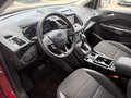 Daumennagel 14 - Ford Kuga Titanium - Automatik - Fahrer Assist.P. - Technik P. - Elektr.Heckkl. - Wenig Kilometer - Voll