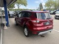 Daumennagel 5 - Ford Kuga Titanium - Automatik - Fahrer Assist.P. - Technik P. - Elektr.Heckkl. - Wenig Kilometer - Voll
