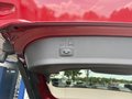 Daumennagel 9 - Ford Kuga Titanium - Automatik - Fahrer Assist.P. - Technik P. - Elektr.Heckkl. - Wenig Kilometer - Voll