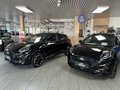 Daumennagel 3 - Ford Puma ST-Line X - Automatik - Fahrer Assist.P. - Winter P.- Voll