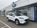 Daumennagel 2 - Ford Kuga Plug-In Hybrid Titanium - Fahrer Assist. Paket - Winter P. - Top