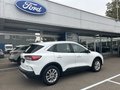 Daumennagel 5 - Ford Kuga Plug-In Hybrid Titanium - Fahrer Assist. Paket - Winter P. - Top