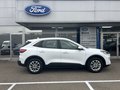 Daumennagel 3 - Ford Kuga Plug-In Hybrid Titanium - Fahrer Assist. Paket - Winter P. - Top
