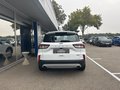Daumennagel 7 - Ford Kuga Plug-In Hybrid Titanium - Fahrer Assist. Paket - Winter P. - Top