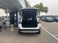 Daumennagel 8 - Ford Kuga Plug-In Hybrid Titanium - Fahrer Assist. Paket - Winter P. - Top