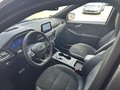 Daumennagel 13 - Ford Kuga Plug-In Hybrid ST-Line X - Panodach - Techno.P - AHK - HUD - VOLLAUSSTATTUNG