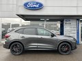 Daumennagel 3 - Ford Kuga Plug-In Hybrid ST-Line X - Black Package - AHK - LED Matrix - 20 Zoll -Top