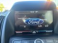 Ford C-Max Business Edition/Winter-Paket - bilder 8