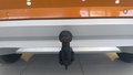 Daumennagel 9 - Skoda Kamiq Scoutline ACC AHK MULTILENKRAD