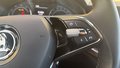 Daumennagel 30 - Skoda Kamiq Scoutline ACC AHK MULTILENKRAD