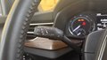 Daumennagel 31 - Skoda Kamiq Scoutline ACC AHK MULTILENKRAD