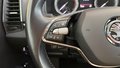 Daumennagel 23 - Skoda Karoq  ACC AUTOMATIK NAVI PANO AHK