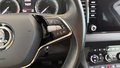 Daumennagel 24 - Skoda Karoq  ACC AUTOMATIK NAVI PANO AHK