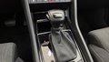 Daumennagel 25 - Skoda Karoq  ACC AUTOMATIK NAVI PANO AHK