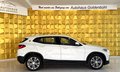 Daumennagel 4 - BMW X2 sDrive 18 i Advantage Plus  ACC SHZ AHK NAVI